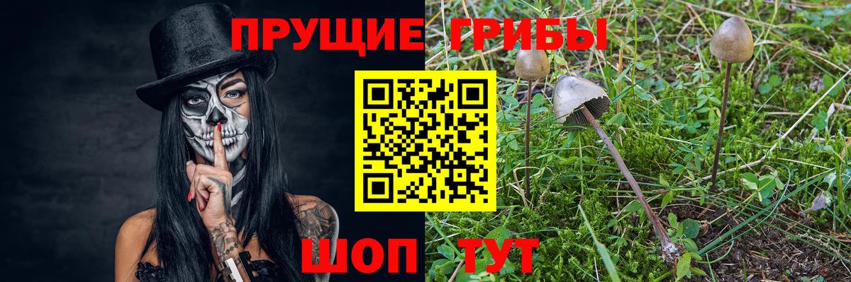 Борисоглебск  Псилоцибиновые грибы MAGIC MUSHROOMS  Вход с VPN  наркота  Псилоцибиновые грибы Psilocybe 
