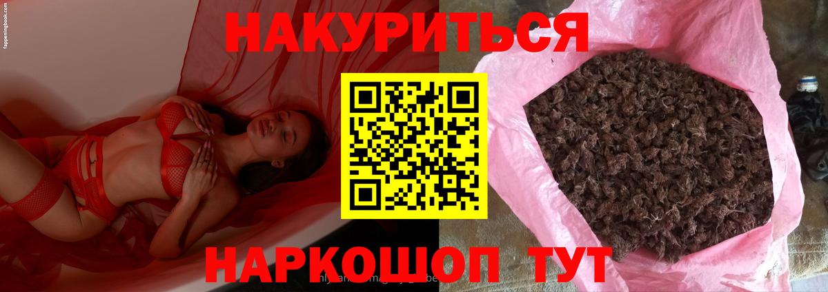 Марихуана планчик  Каннабис Ganja  Шишки марихуана LSD WEED  Борисоглебск  Вход с VPN  Шишки марихуана Bruce Banner 